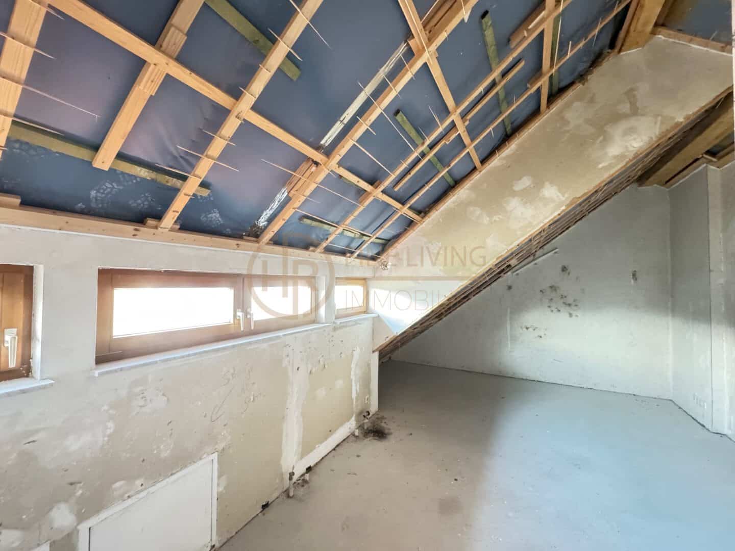 Zimmer DG